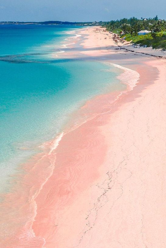 Pink Sand Clutch