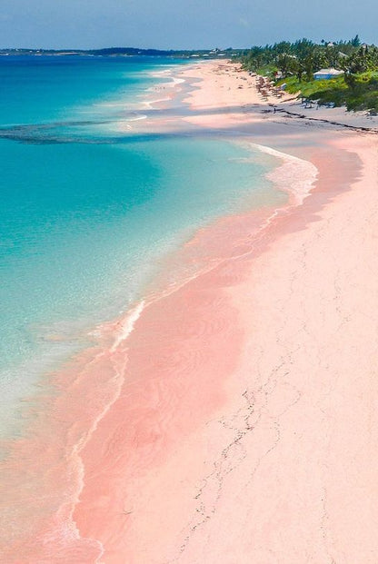 Pink Sand Clutch