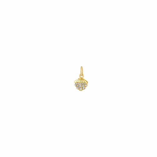 Radiant shell charm
