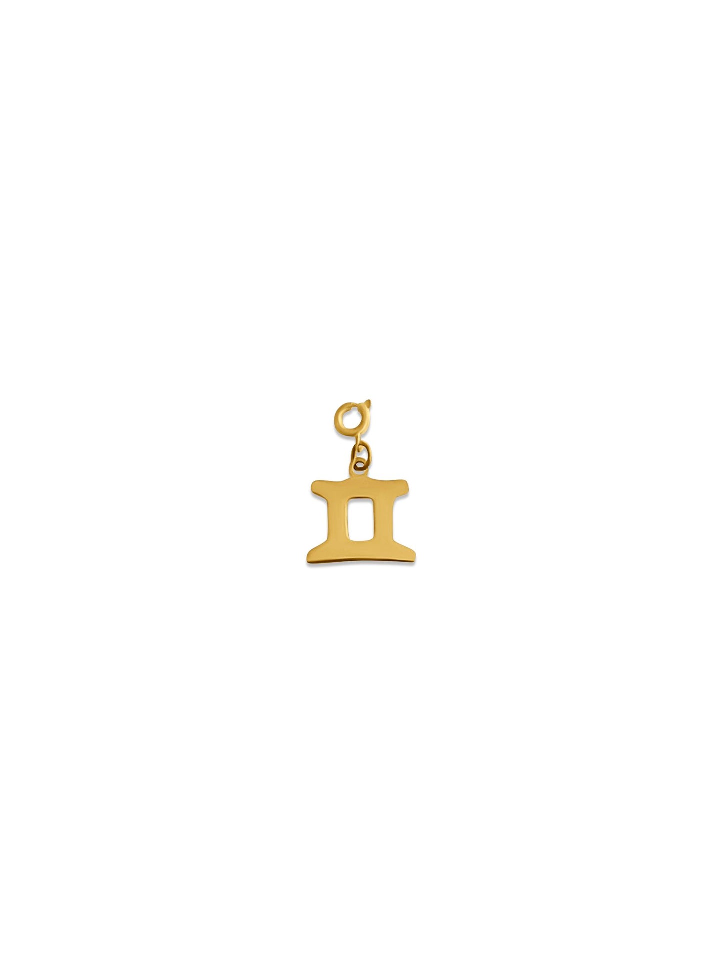 Zodiac Charm