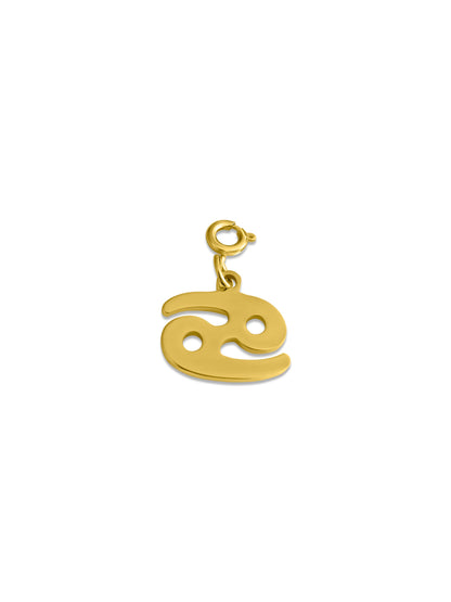 Zodiac Charm