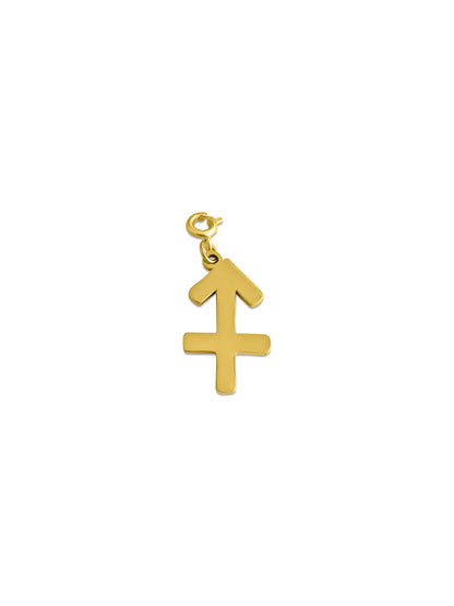 Zodiac Charm