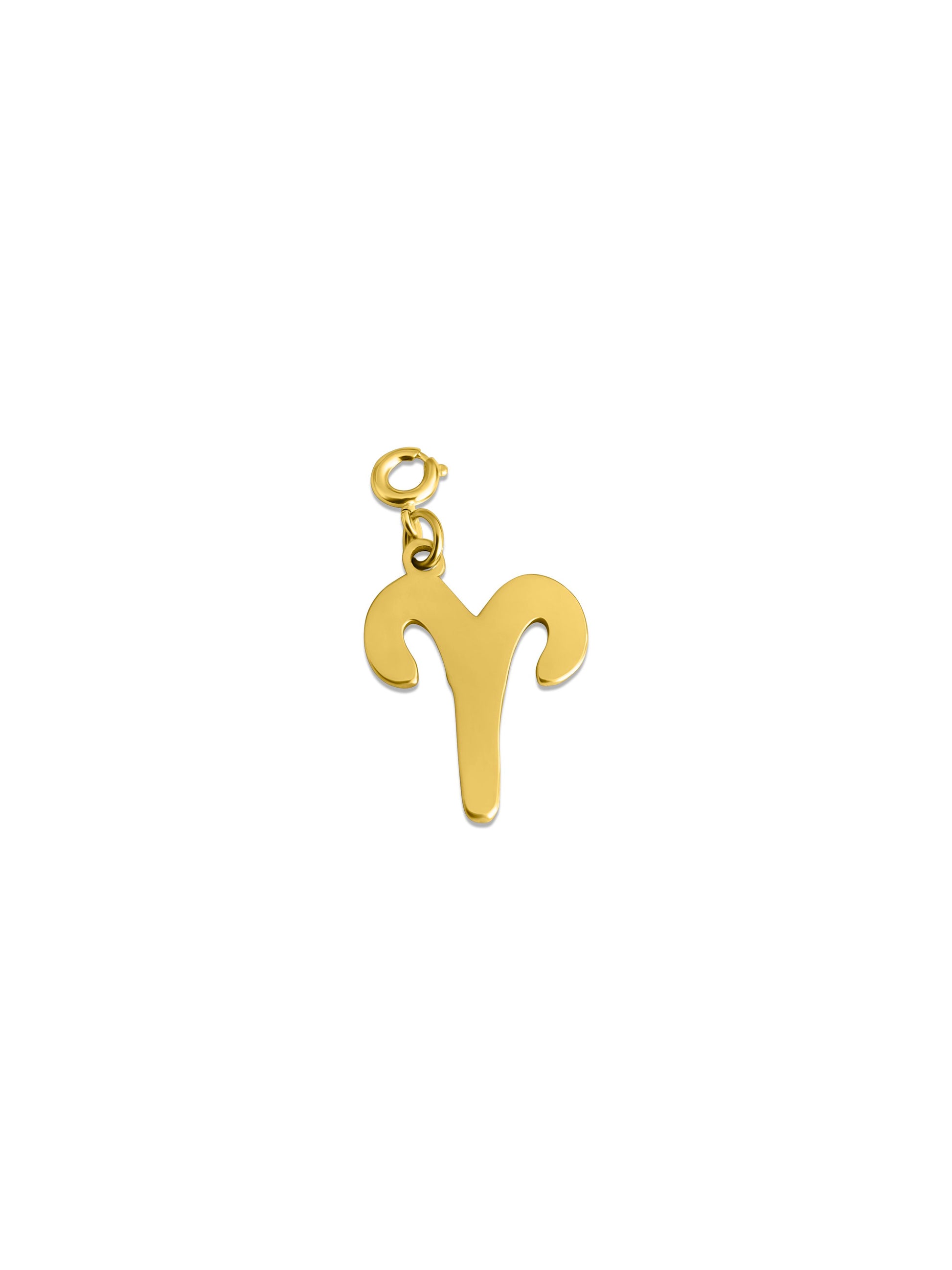 Zodiac Charm