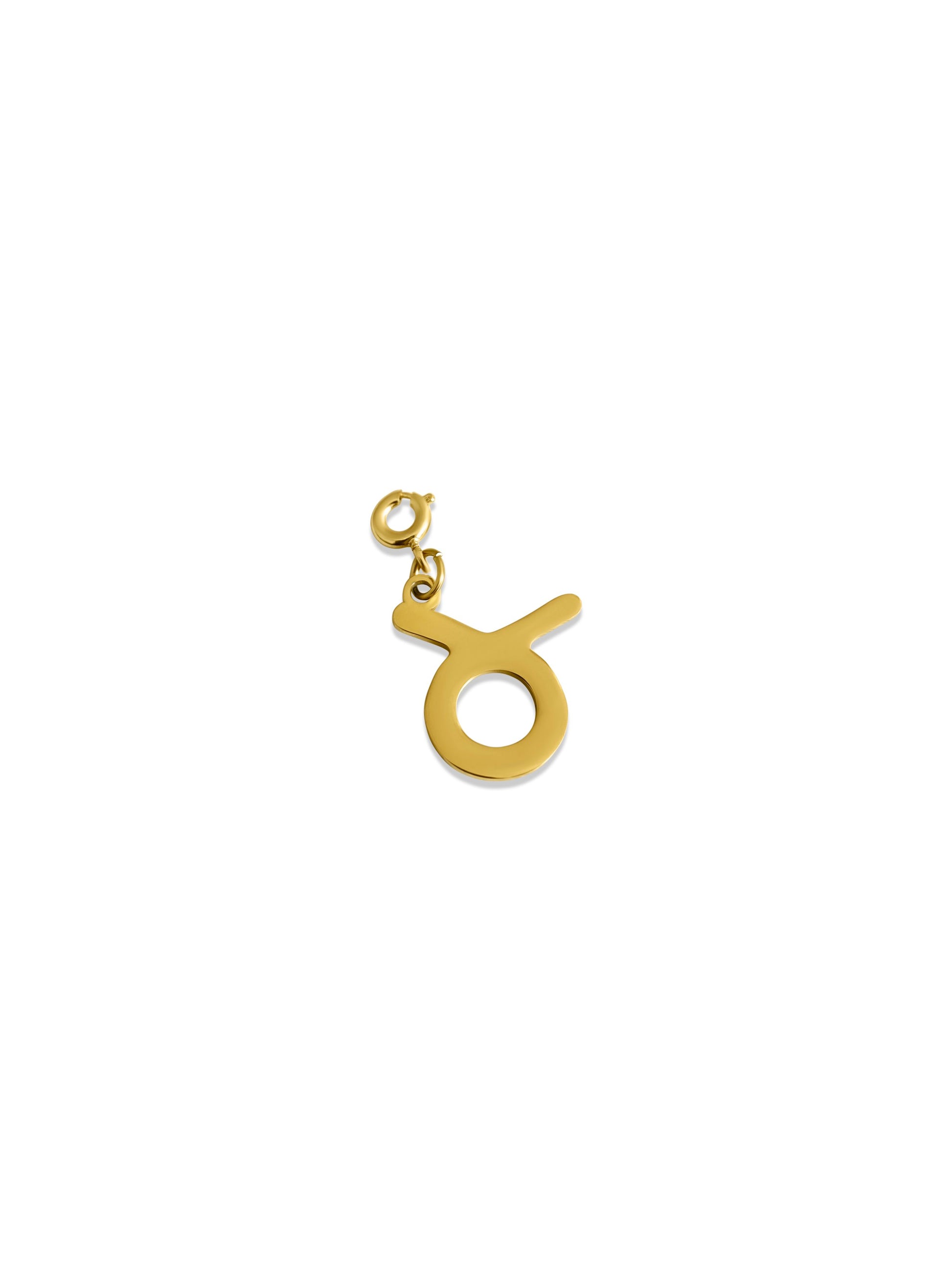 Zodiac Charm