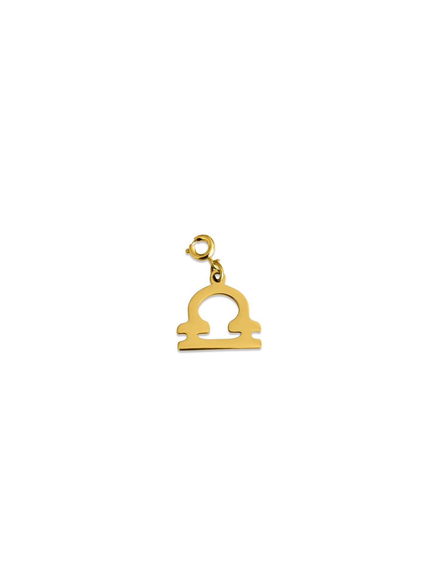 Zodiac Charm