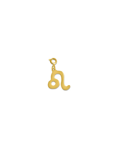 Zodiac Charm