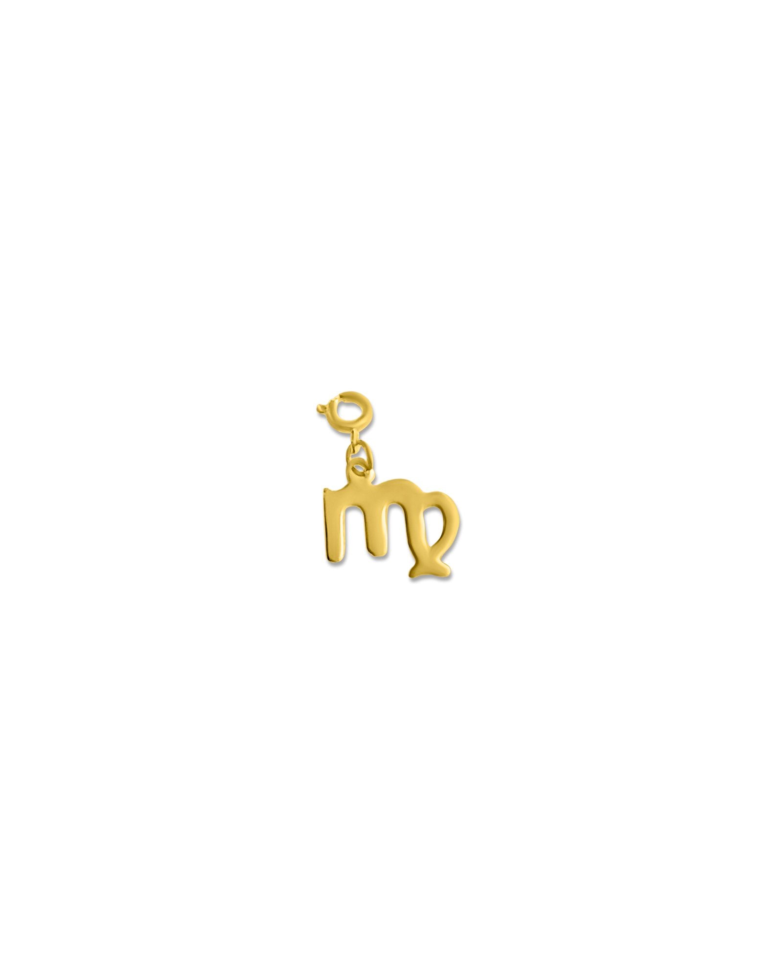 Zodiac Charm